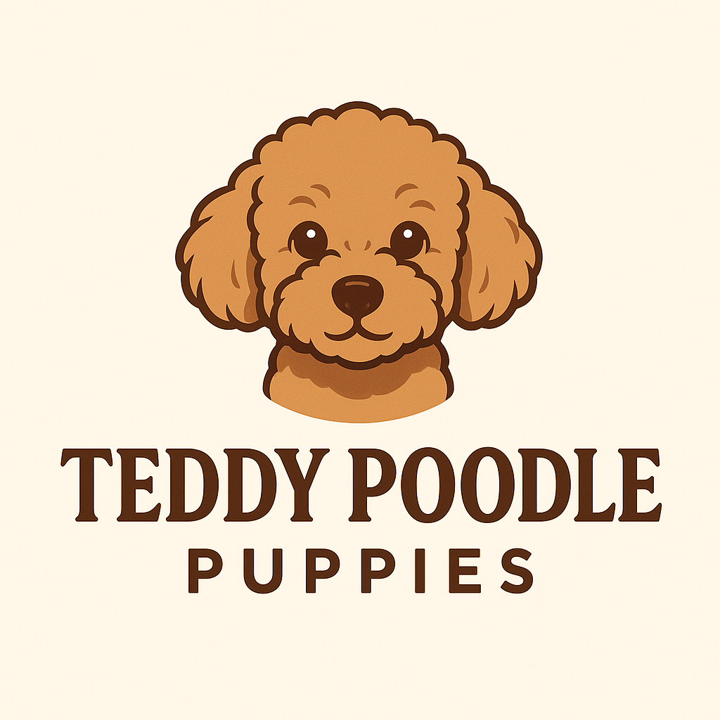 teddypoodlepuppies.com
